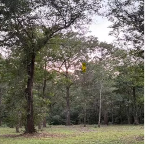 26164 Grand Pines Rd, Magnolia, TX 77355