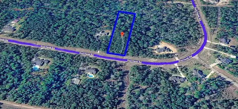 15415 Red Hawk Rd, Willis, TX 77378 photo 4
