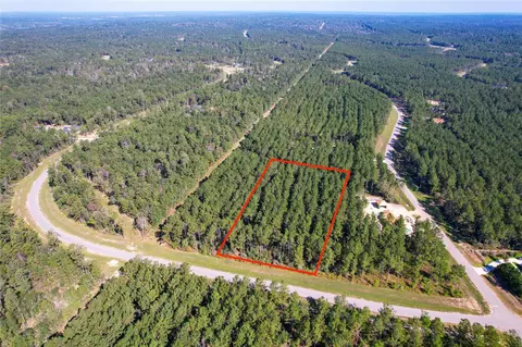 15336 Red Hawk Rd, Willis, TX 77378 photo 5