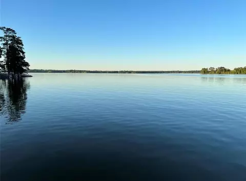 0 Forest Holw, Trinity, TX 75862 photo 6