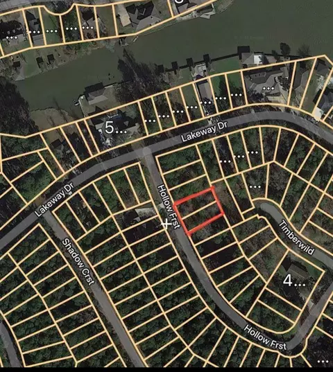 0 Forest Holw, Trinity, TX 75862 photo 2