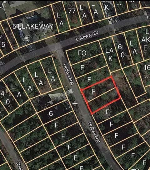 0 Forest Holw, Trinity, TX 75862 photo 3