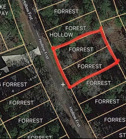 0 Forest Holw, Trinity, TX 75862