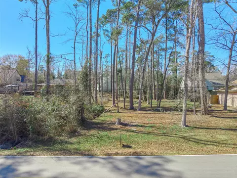 86 Hanover Ln, Conroe, TX 77304 photo 7