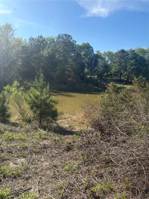 26770 Lake Shore Dr, Hempstead, TX 77445