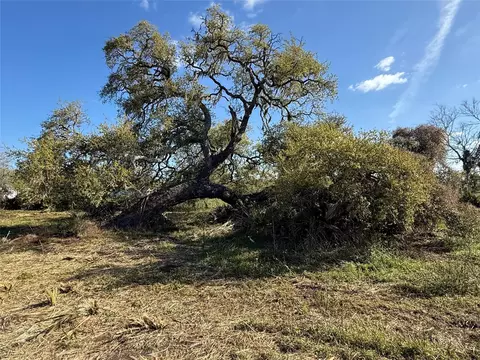 0 County Road 319, Brazoria, TX 77422