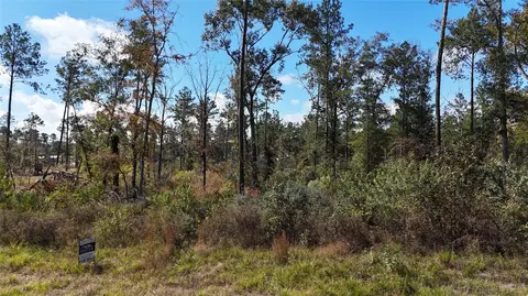 tbd 7 Reveille Rd, Livingston, TX 77351