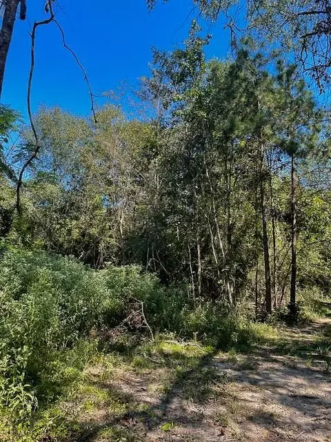 8881 Fm 356, Trinity, TX 75862 photo 8