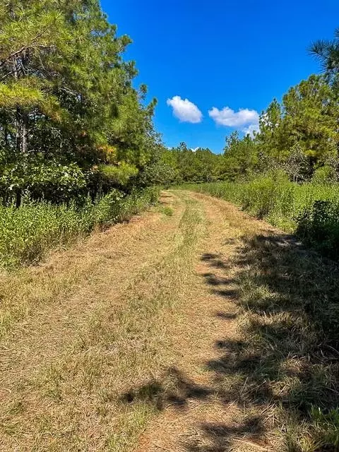8881 Fm 356, Trinity, TX 75862 photo 2