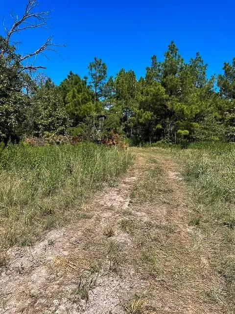 8881 Fm 356, Trinity, TX 75862 photo 7