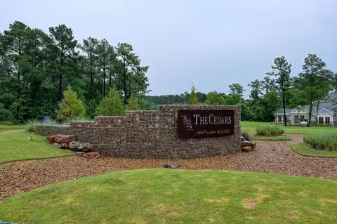 9726 Oakland Park Blvd, Plantersville, TX 77363