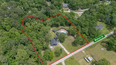 View/Area - 230 Walnut Dr, Trinity, TX 75862 photo 4 of 4