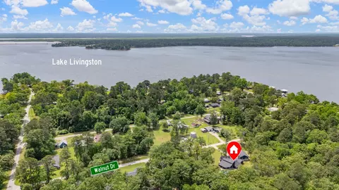 View/Area - 230 Walnut Dr, Trinity, TX 75862 photo 1 of 4