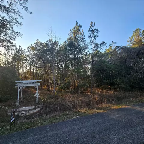 20135 Belleau Wood Dr, Houston, TX 77338