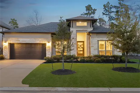 542 Carina Gaze Dr, Willis, TX 77318