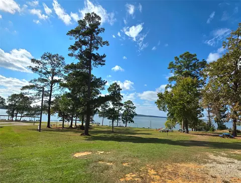 349 Beechwood Dr, Trinity, TX 75862 photo 8
