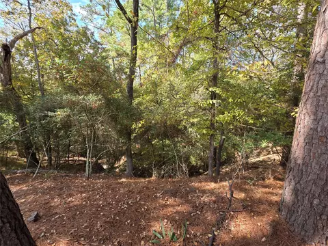 349 Beechwood Dr, Trinity, TX 75862 photo 18