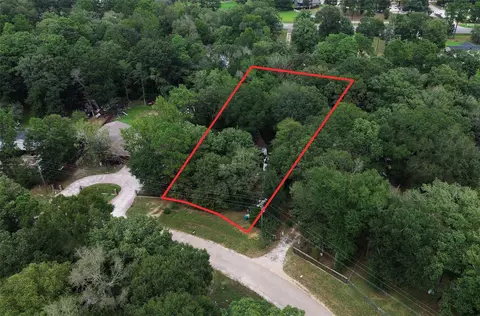 206 Wickdome Dr, Willis, TX 77378 photo 12