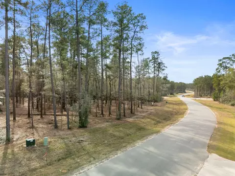 15880 Four Hills Rd, Willis, TX 77378