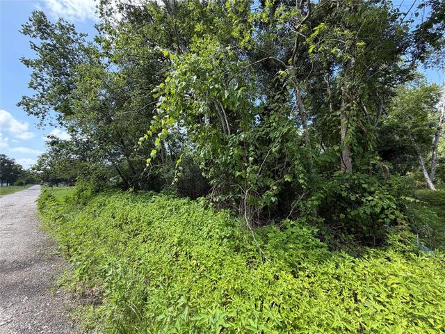 lot97 Lost Forest Dr, Guy, TX 77444
