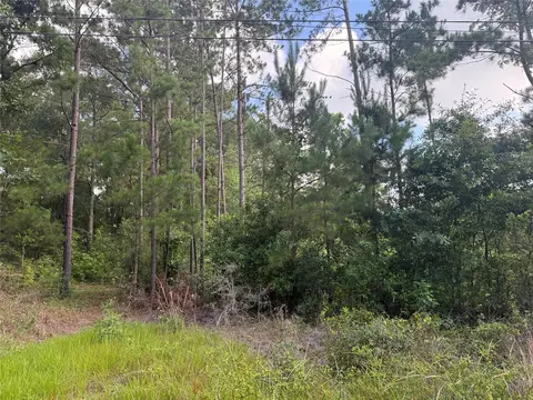 3555 Hickock Ln, Willis, TX 77378