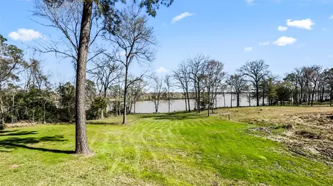 View/Area - 375 Lonesome Dove Trl, Trinity, TX 75862 photo 3 of 12