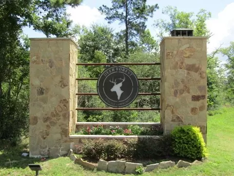 126 Traveler Trl, Willis, TX 77378