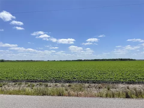 0 Schultz Rd, Damon, TX 77430 photo 3