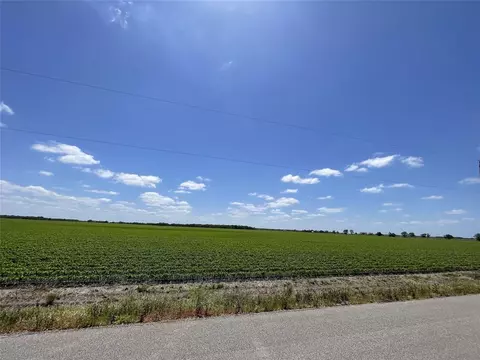 0 Schultz Rd, Damon, TX 77430 photo 8