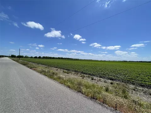 0 Schultz Rd, Damon, TX 77430 photo 6