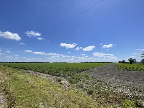 0 Schultz Rd, Damon, TX 77430 photo 9