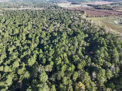 156 Lessa Ln, Huntsville, TX 77340