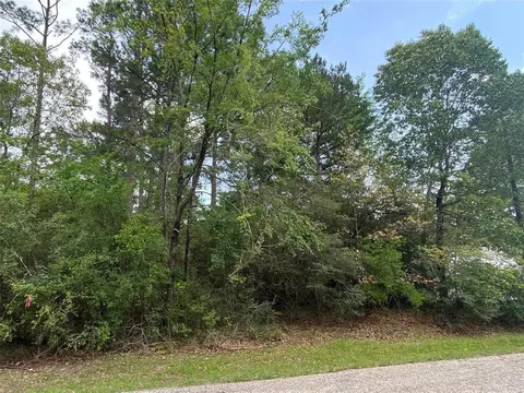 51 Wood Hbr, Trinity, TX 75862 photo 7