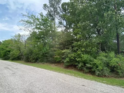 51 Wood Hbr, Trinity, TX 75862 photo 9
