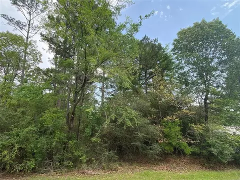 51 Wood Hbr, Trinity, TX 75862 photo 8