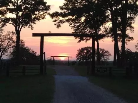 200 Acres Spring Branch Rd, Montgomery, TX 77316