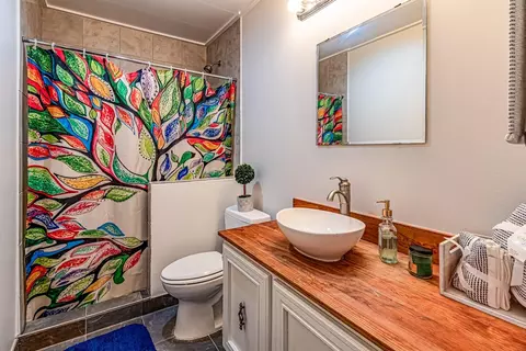 Bath - 480 Johnson Rd, Coldspring, TX 77331 photo 1 of 5