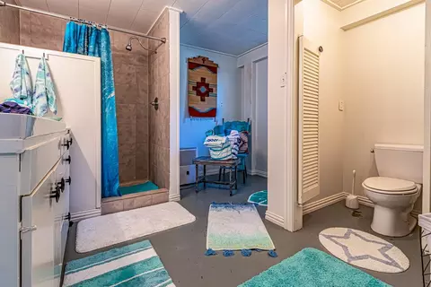 Bath - 480 Johnson Rd, Coldspring, TX 77331 photo 4 of 5