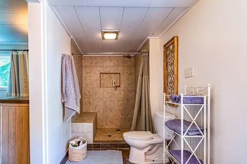 Bath - 480 Johnson Rd, Coldspring, TX 77331 photo 3 of 5
