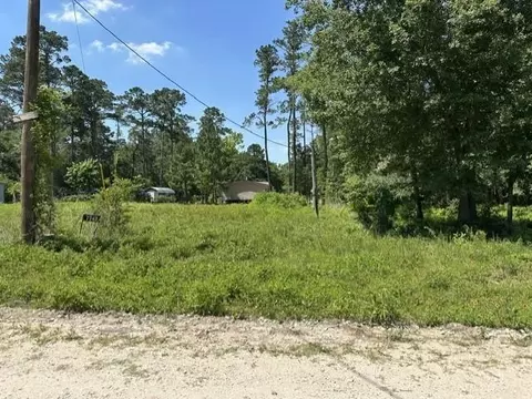 7743 Redbud Ln, Plantersville, TX 77363
