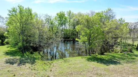 6 Ac Fm 3091, Madisonville, TX 77864