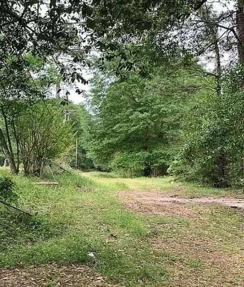 73 Dogwood Ln, Houston, TX 77365