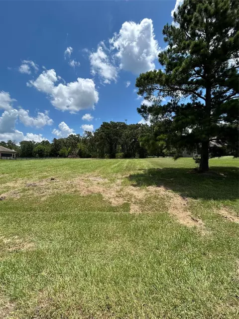1678 Opal Trl, Willis, TX 77378 photo 2