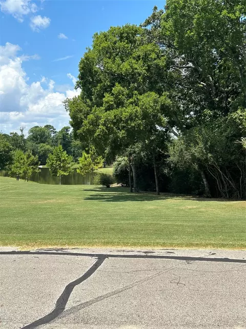 1678 Opal Trl, Willis, TX 77378 photo 4