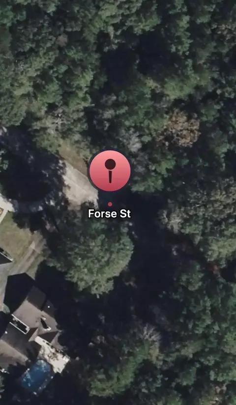 tbd Forse St, Woodville, TX 75979