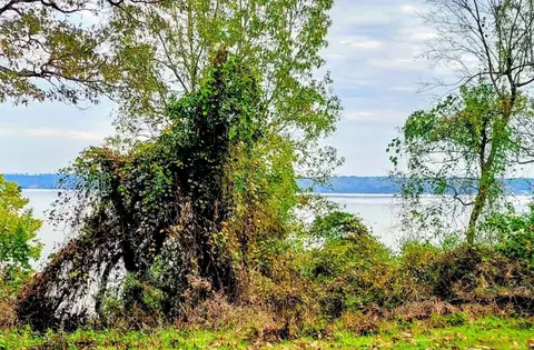 0 Bay Hill Rd, Huntsville, TX 77320