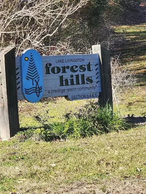 lot S 428 429 Echo Hills Ln, Livingston, TX 77351