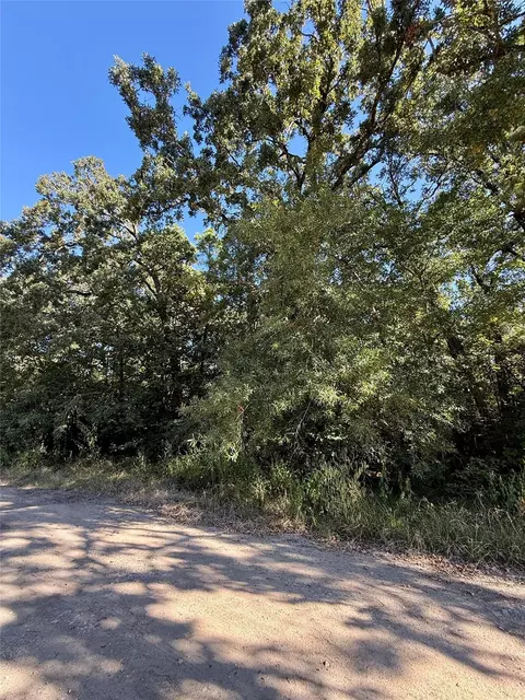 86 Tomahawk Trail, Livingston, TX 77351