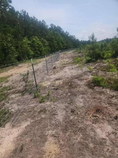 Other - 9420 Fm 355, Trinity, TX 75862 photo 3 of 16
