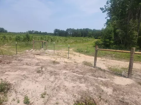 Other - 9420 Fm 355, Trinity, TX 75862 photo 5 of 16
